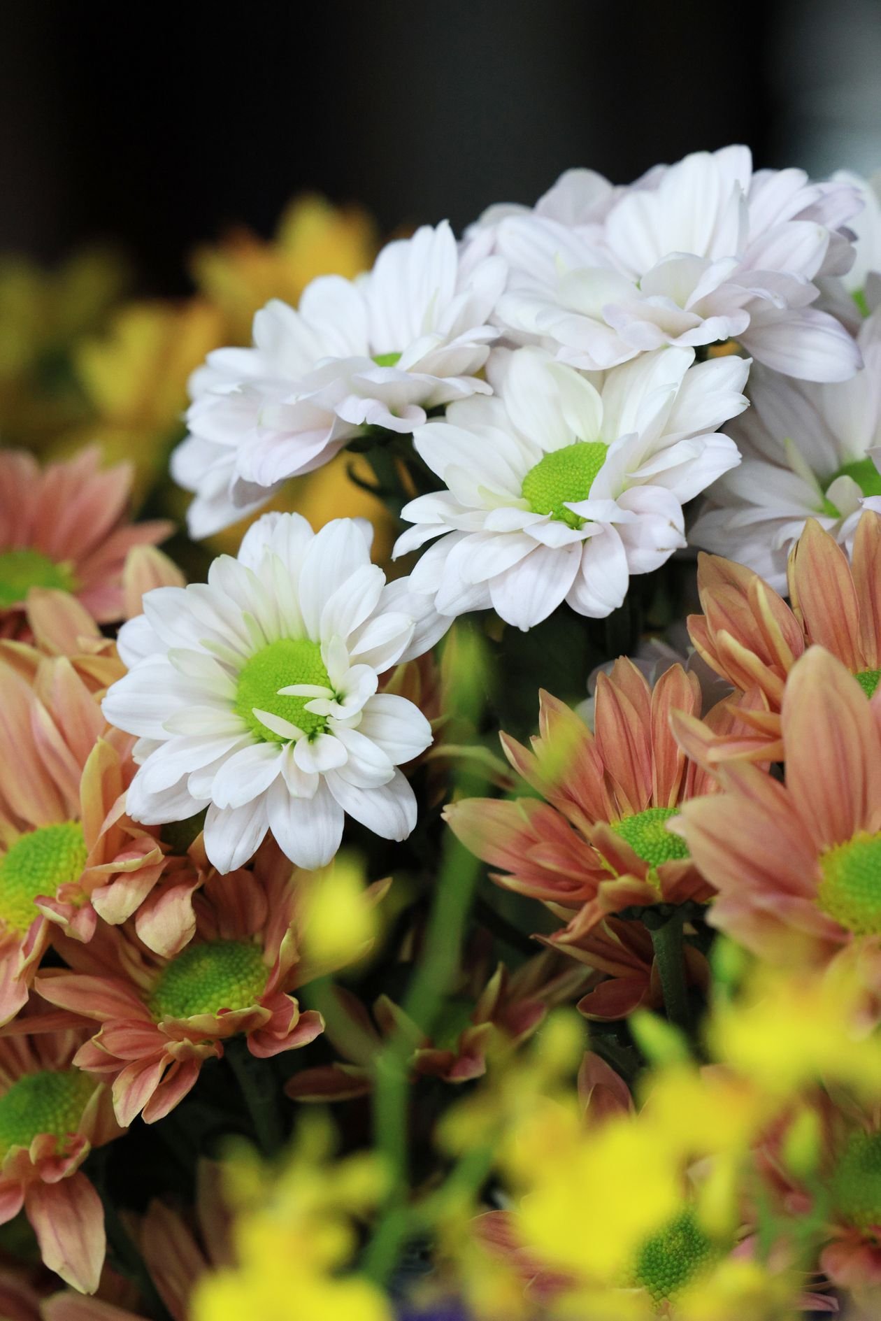 Fall planter ideas - creating stunning fall planters