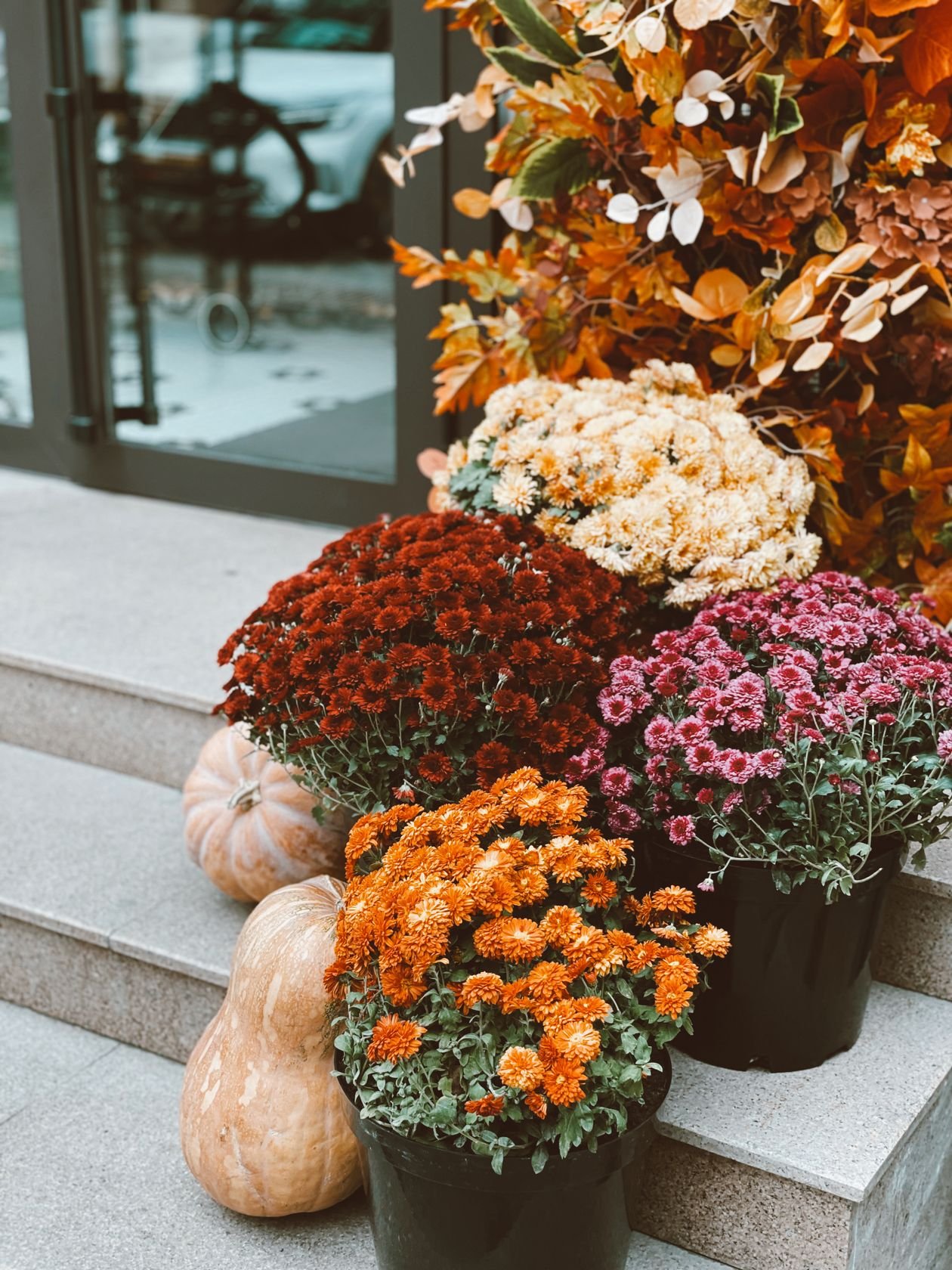 Fall planter ideas - creating stunning fall planters