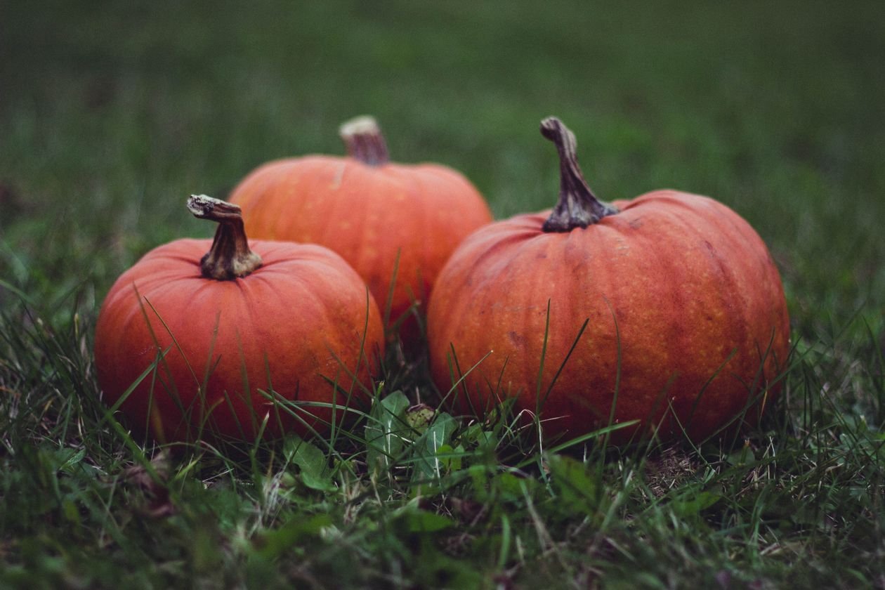 Fall planter ideas - creating stunning fall planters